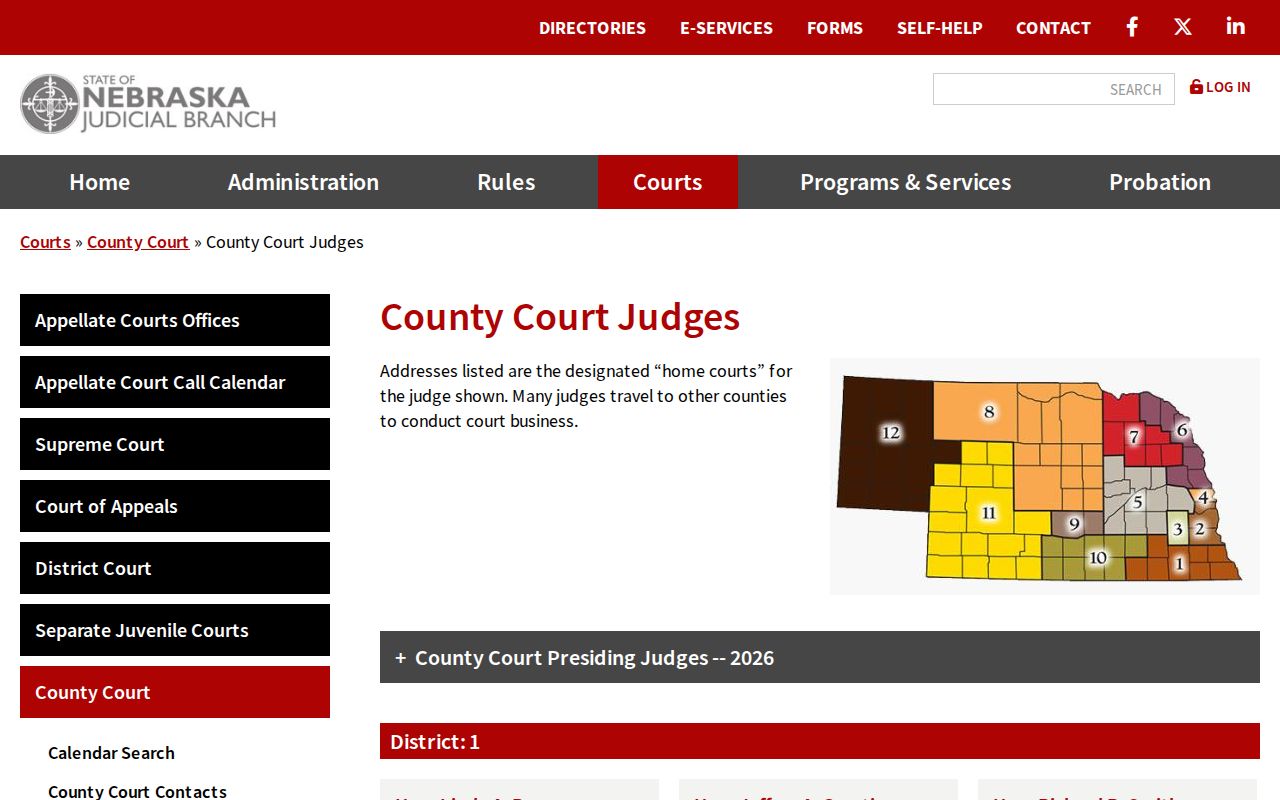 Merrick County case lookup County Court reference