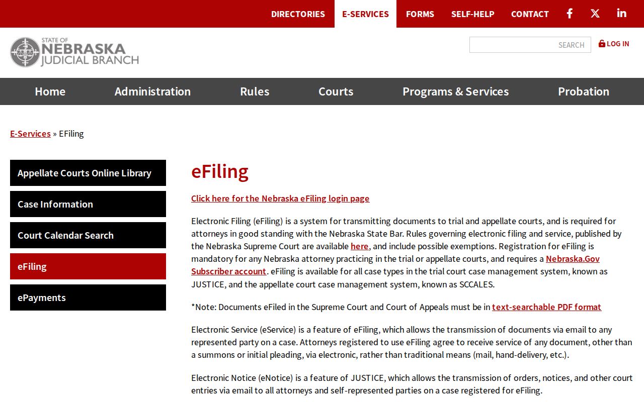 Merrick County case lookup and Nebraska Judicial Branch eFiling reference